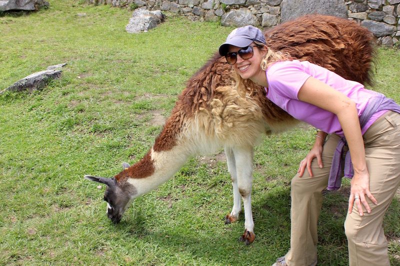 Brianne Miers and llama at Machu Picchu in Peru