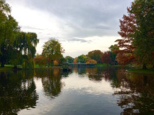 Boston Public Garden