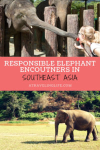 Where are the best places to see elephants in Southeast Asia? Check out these recommendations from travel bloggers on where you can see wild elephants responsibly, such as the Kuala Gandah Elephant Sanctuary in Malaysia. | wildlife travel destinations | elephant sanctuary Malaysia | elephant rescue Malaysia | ethical elephant experience | #adventuretravel #ecotourism #wildlifetravel #Malaysia #Thailand #Laos