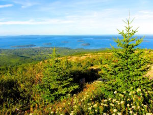 Cadillac Mountain in Acadia National Park, Maine