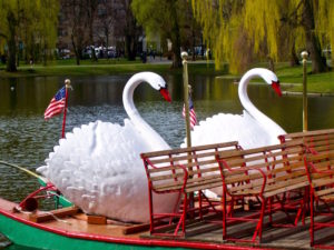swan boats in the Public Garden in Boston