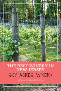 Not only is Sky Acres Winery in Bedminster, New Jersey, the Best Winery in New Jersey, it also doesn't use any water in production, so it’s an eco-friendly and sustainable operation! New Jersey wineries | New Jersey wine trail #visitNJ #sustainability #wine
