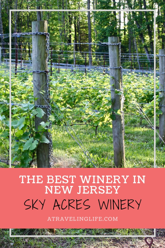Not only is Sky Acres Winery in Bedminster, New Jersey, the Best Winery in New Jersey, it also doesn't use any water in production, so it’s an eco-friendly and sustainable operation! New Jersey wineries | New Jersey wine trail #visitNJ #sustainability #wine