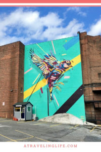 Are you looking for the best things to do in Worcester, Massachusetts? It's a great day trip from Boston and one of my favorite cities in New England! | Worcester restaurants | Worcester bars | Worcester shops | Worcester hotels | Worcester street art | #visitMA #VisitCentralMA #NewEngland #streetart